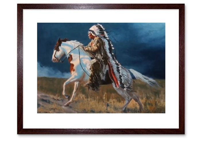 North American IndianFramed Print